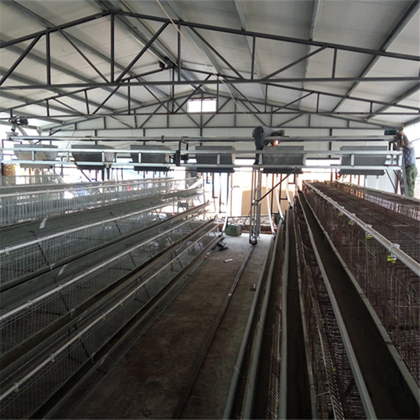 選擇優(yōu)勢(shì)1